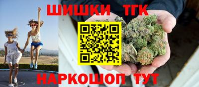 гидра Гагарин