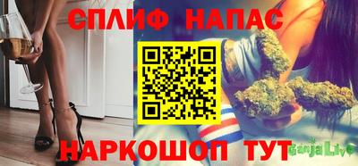 гидра Гагарин