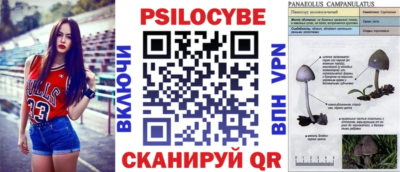 Галлюциногенные грибы Psilocybe  магазин продажи наркотиков  Новоалтайск 