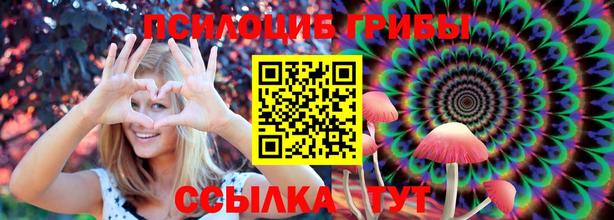 Галлюциногенные грибы ЛСД  Псилоцибиновые грибы Psilocybe  Новоалтайск 
