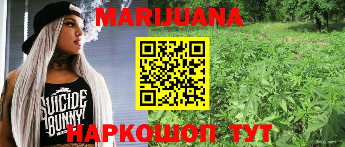 Шишки марихуана планчик Новоалтайск